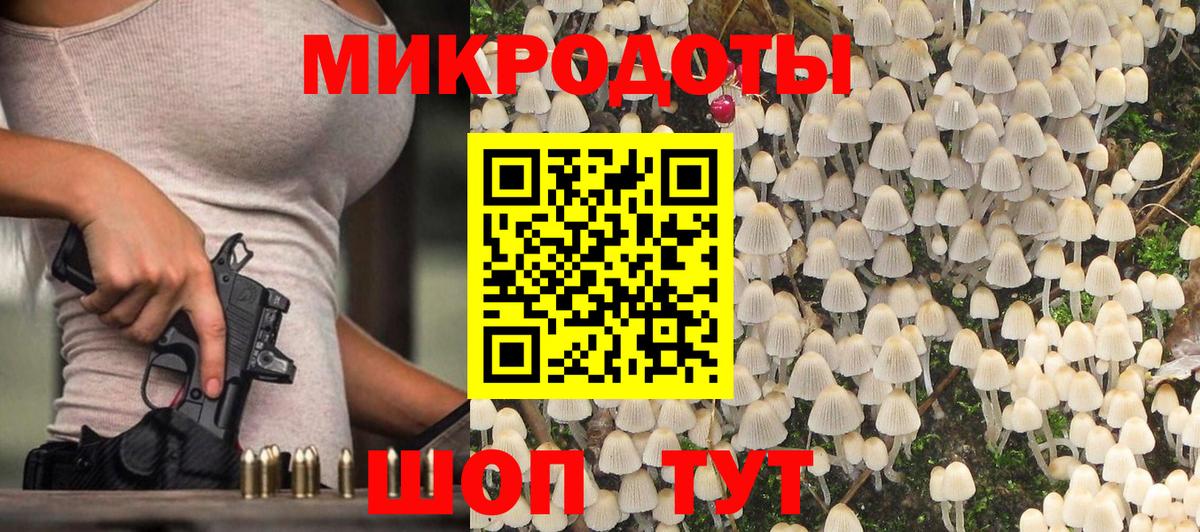 Галлюциногенные грибы Psilocybe Сочи